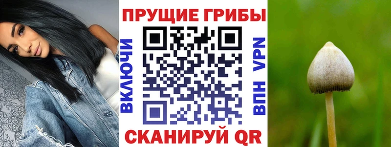 Галлюциногенные грибы мухоморы  Костерёво 